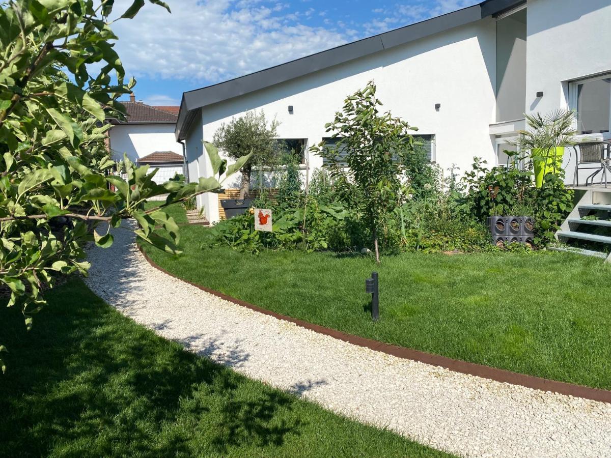 Le Clos Des Pommiers Uffholtz Zewnętrze zdjęcie
